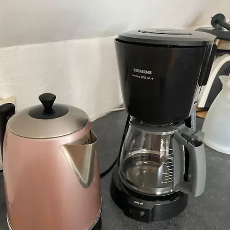 Wolff Am Natursteig Sieg Und Westerwald * Pracht