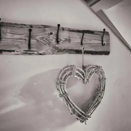 Wolff Am Natursteig Sieg Und Westerwald Pracht