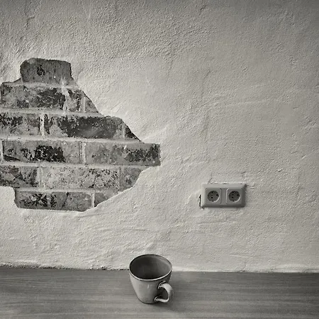 Wolff Am Natursteig Sieg Und Westerwald